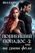 ПОЛНЕЙШИЙ ПОПАДОС — 2 или на грани фола
