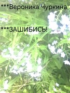 Зашибись!