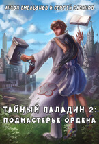 Тайный паладин 2: Подмастерье ордена