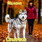 Стычка