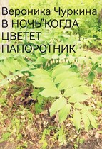 В ночь, когда цветёт папоротник.