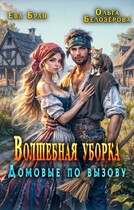 Волшебная уборка. Домовые по вызову