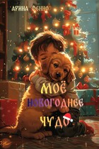 Моё новогоднее чудо