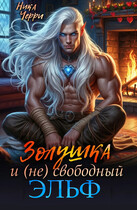 Золушка и (не) свободный Эльф
