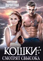 Кошки смотрят свысока