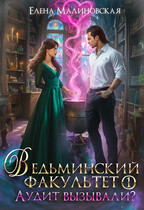 Ведьминский факультет. Книга 1. Аудит вызывали?