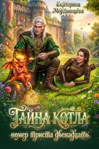 Тайна котла номер триста двенадцать