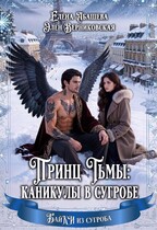 Принц Тьмы: каникулы в сугробе