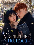 Магнитные полюса