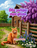 Два забора, три двора