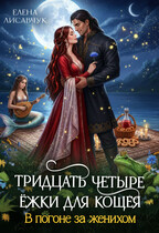 Тридцать четыре Ёжки для Кощея. В погоне за женихом ( часть 3)