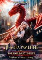 Недоразумение на боевом факультете. Любовь на всю голову