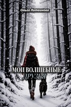 Мои волшебные друзья (С иллюстрациями)