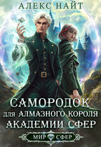 Самородок для алмазного короля Академии Сфер