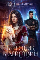 Бытовик в действии