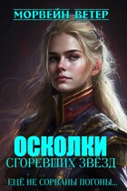 Осколки сгоревших звёзд. Книга 2. Ещё не сорваны погоны