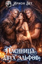 Пленница двух эльфов