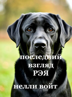 Последний взгляд Рэя