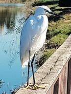 История нашей жизни том-8.