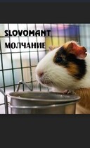 Молчание