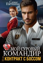 Мой суровый командир, или Контракт с боссом