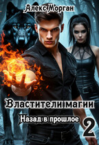 Властители магии. Назад в прошлое. Книга 2